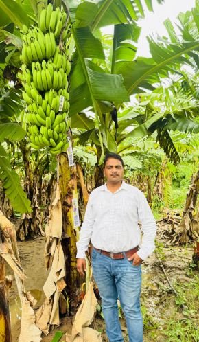 Ajwa Enterprise Global Agro Exports