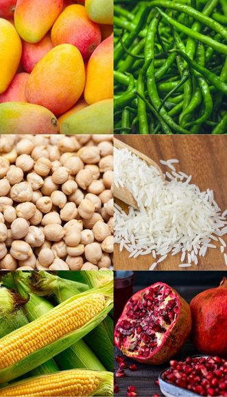 Indian Agro Commodities Export