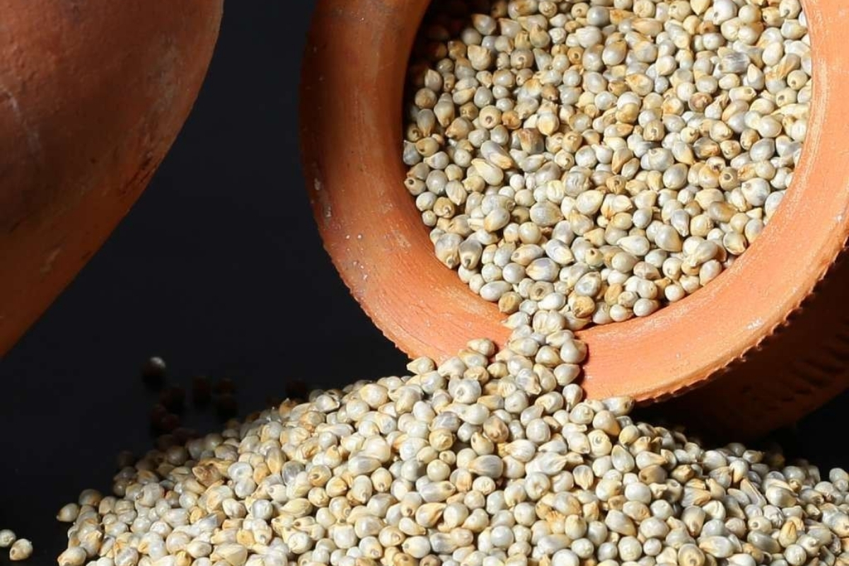 Pulses and Grains Export